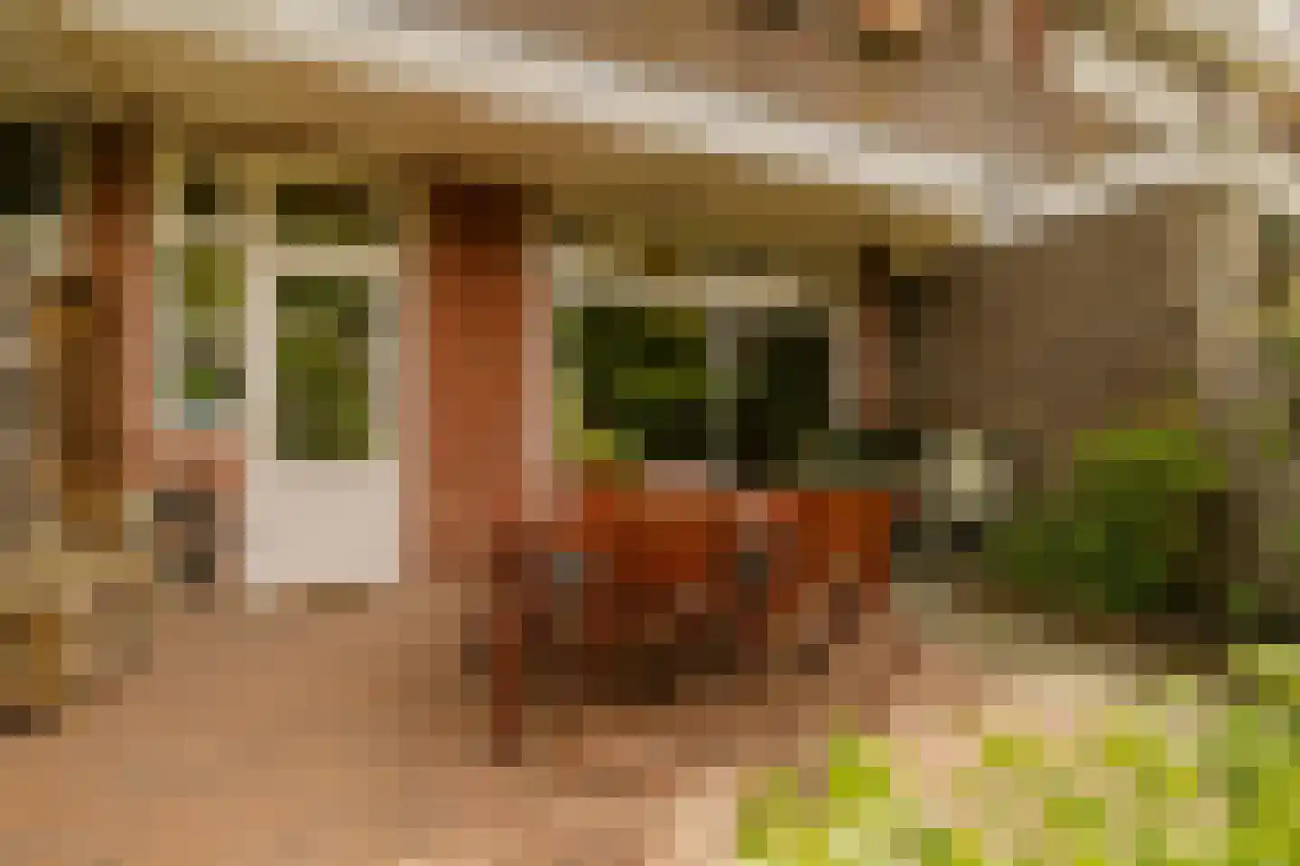 Planetenplein 19 Haarlem thumbnail 17