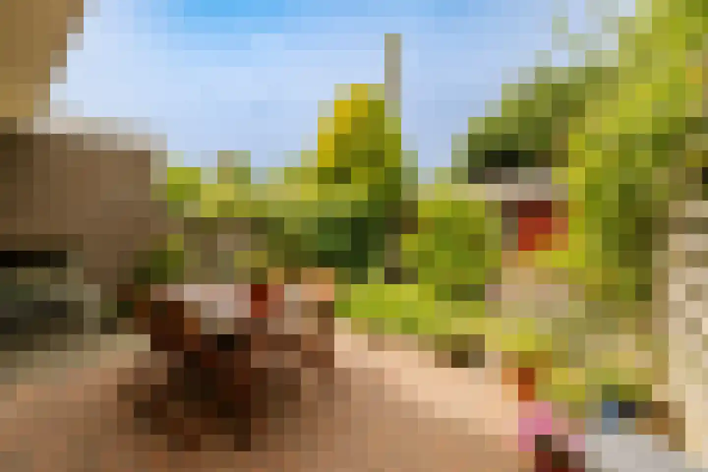 Planetenplein 19 Haarlem thumbnail 18