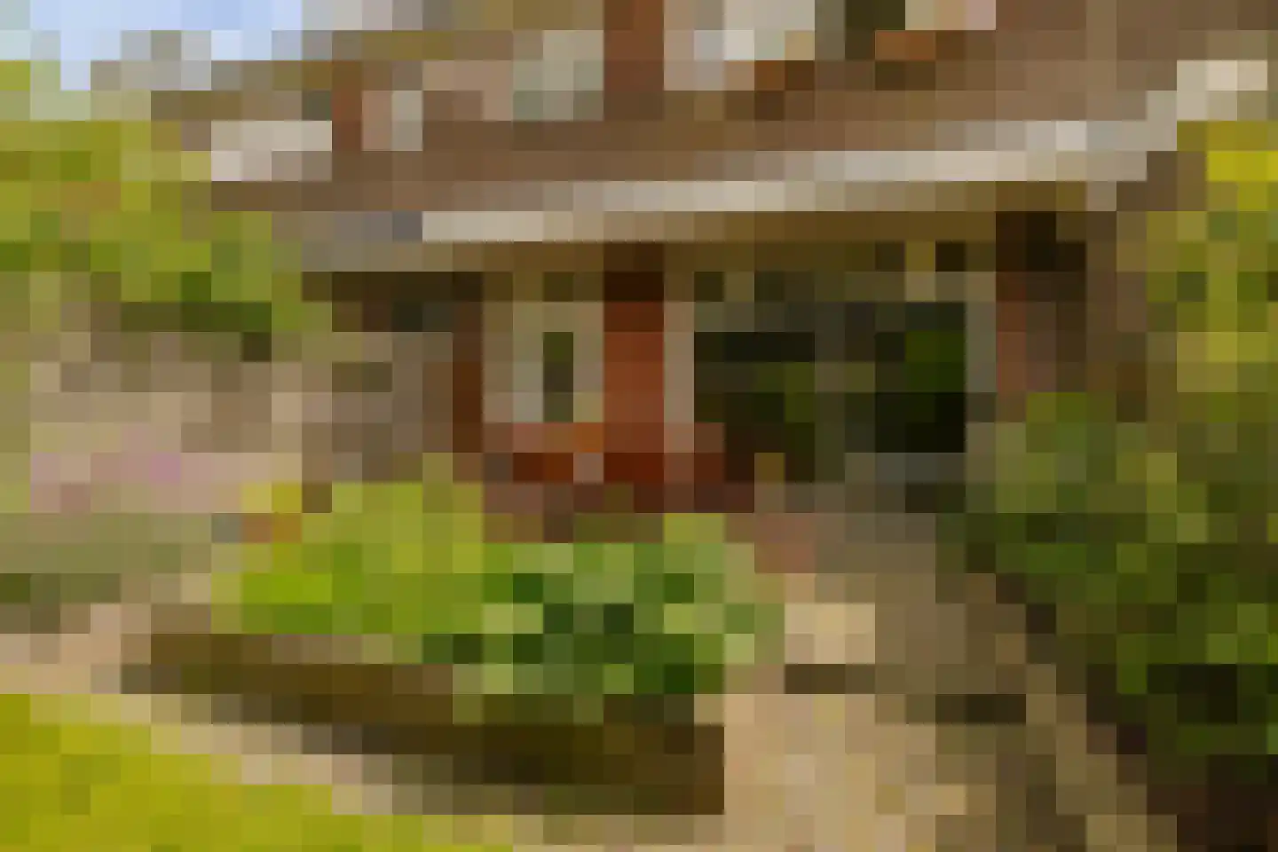 Planetenplein 19 Haarlem thumbnail 19