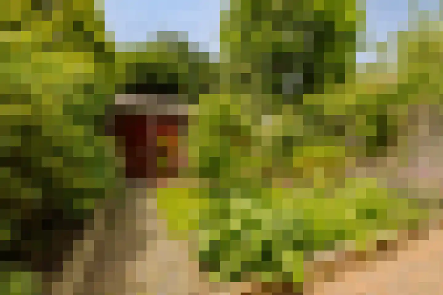 Planetenplein 19 Haarlem thumbnail 20