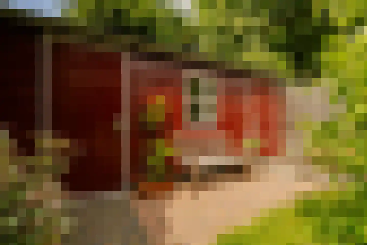 Planetenplein 19 Haarlem thumbnail 21