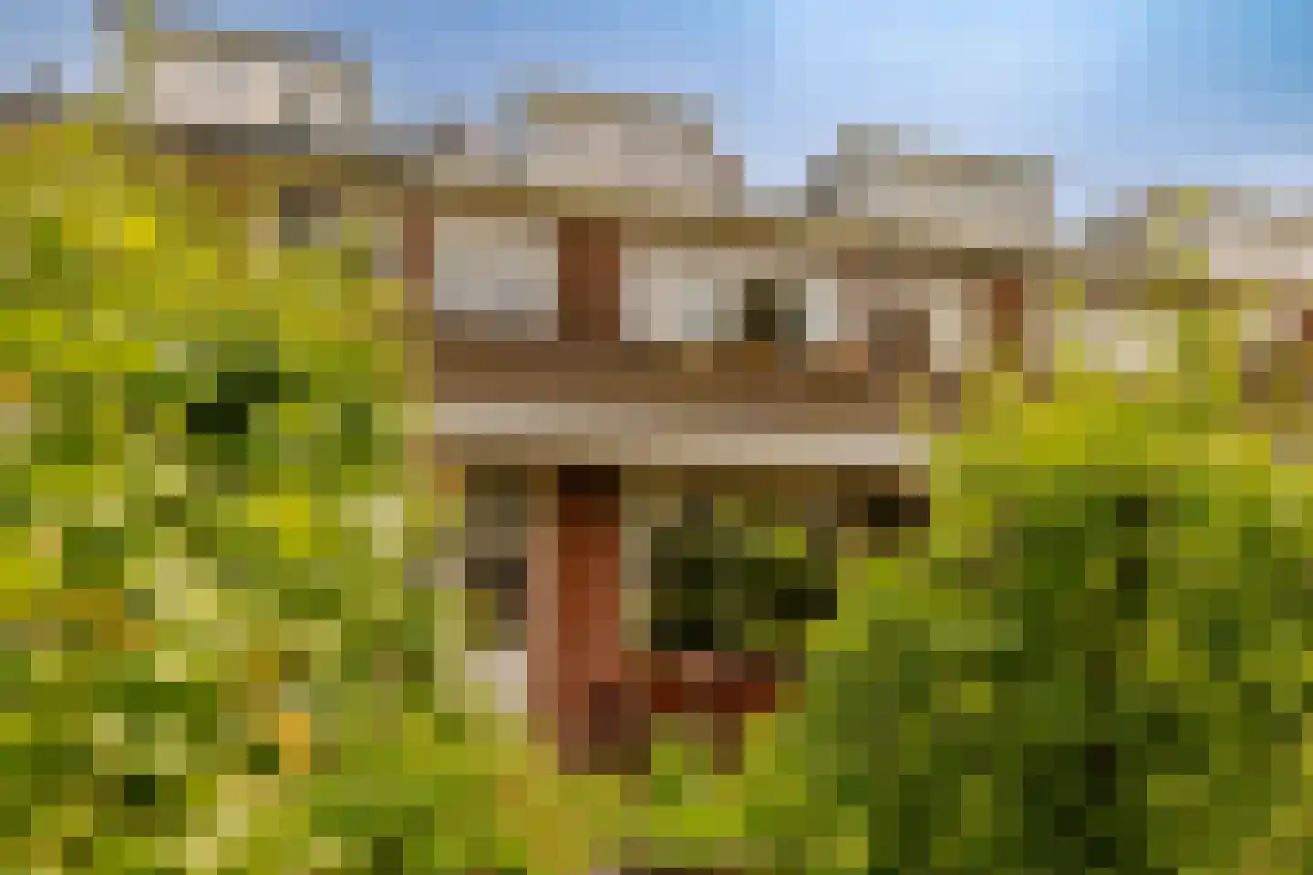 Planetenplein 19 Haarlem thumbnail 22
