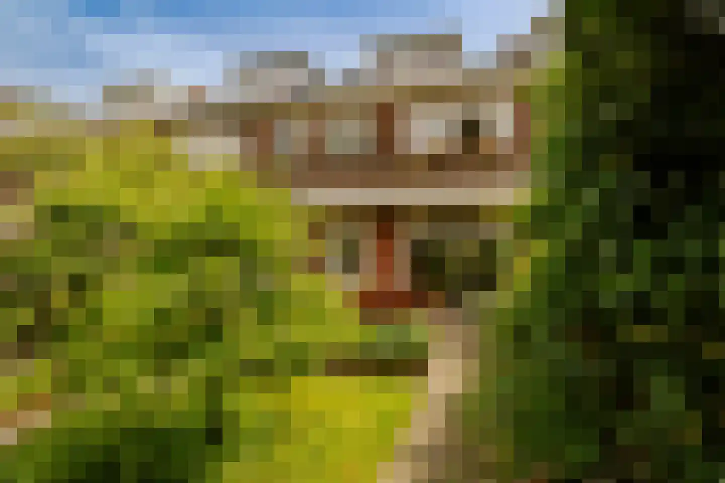 Planetenplein 19 Haarlem thumbnail 4