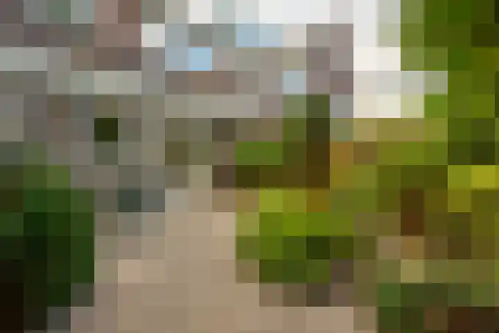 Planetenplein 20 Haarlem thumbnail 26