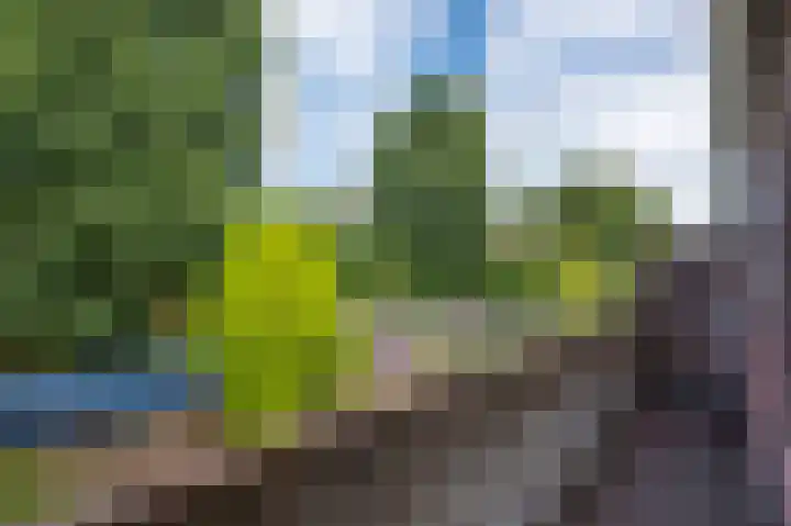 Planetenplein 20 Haarlem thumbnail 42