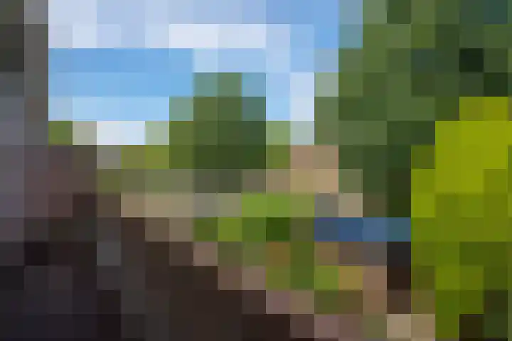 Planetenplein 20 Haarlem thumbnail 43