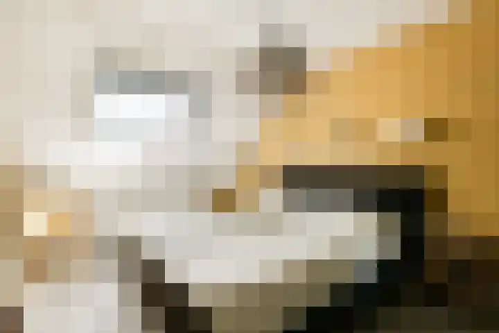 Planetenplein 24 Sassenheim thumbnail 16