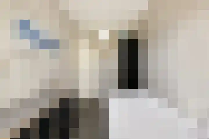 Planetenplein 24 Sassenheim thumbnail 23
