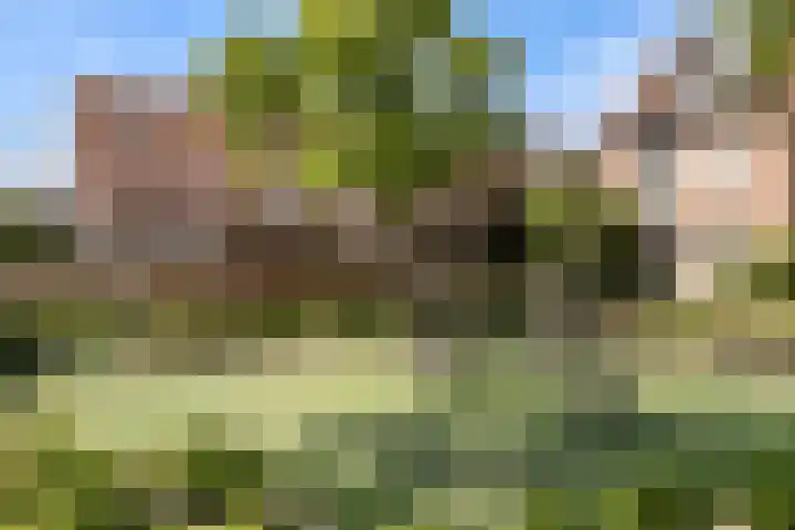 Planetenplein 24 Sassenheim thumbnail 27