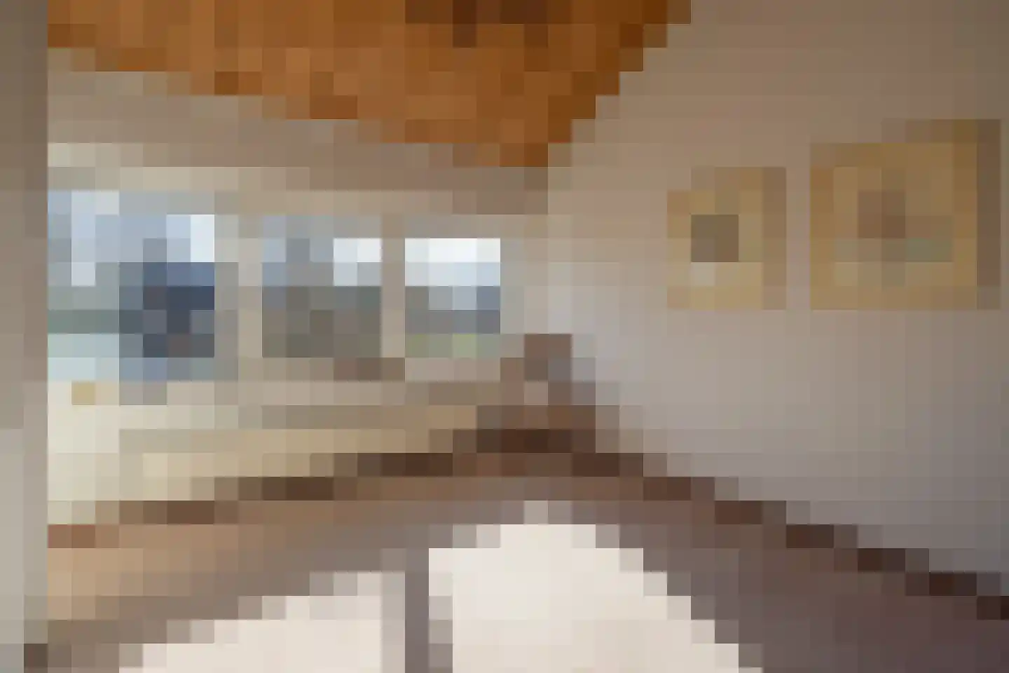 Planetensingel 13 Alphen aan den Rijn thumbnail 19