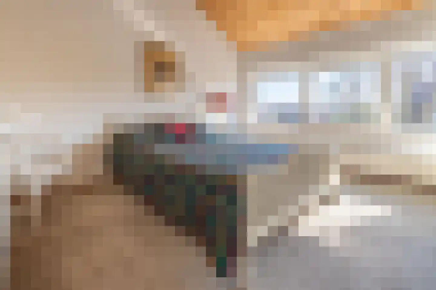 Planetensingel 13 Alphen aan den Rijn thumbnail 21