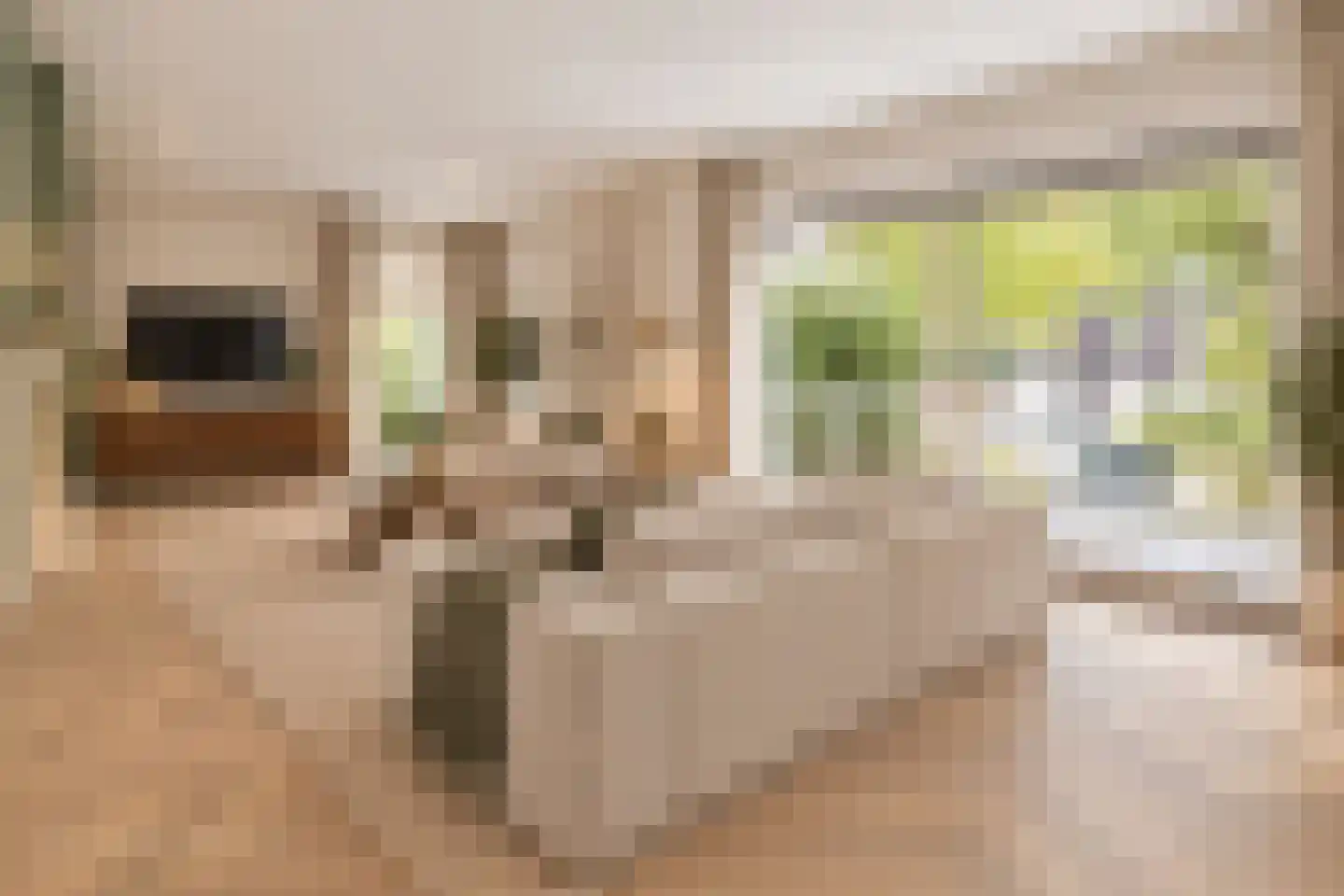 Planetensingel 13 Alphen aan den Rijn thumbnail 4