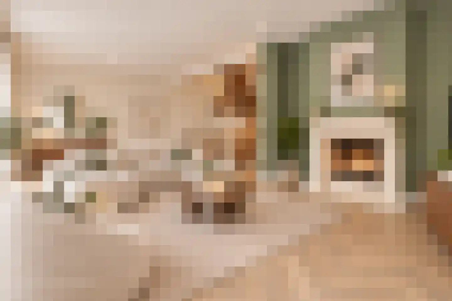 Planetensingel 13 Alphen aan den Rijn thumbnail 6