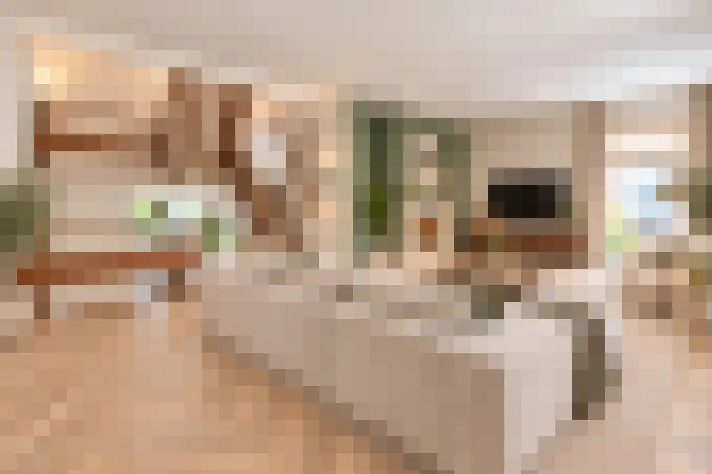Planetensingel 13 Alphen aan den Rijn thumbnail 8