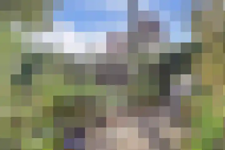 Planetenstraat 11 Venlo thumbnail 21