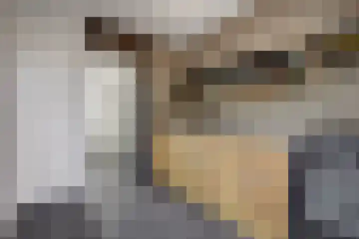 Planetenstraat 11 Venlo thumbnail 6