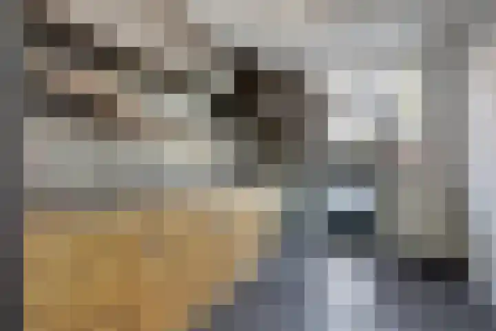 Planetenstraat 11 Venlo thumbnail 7