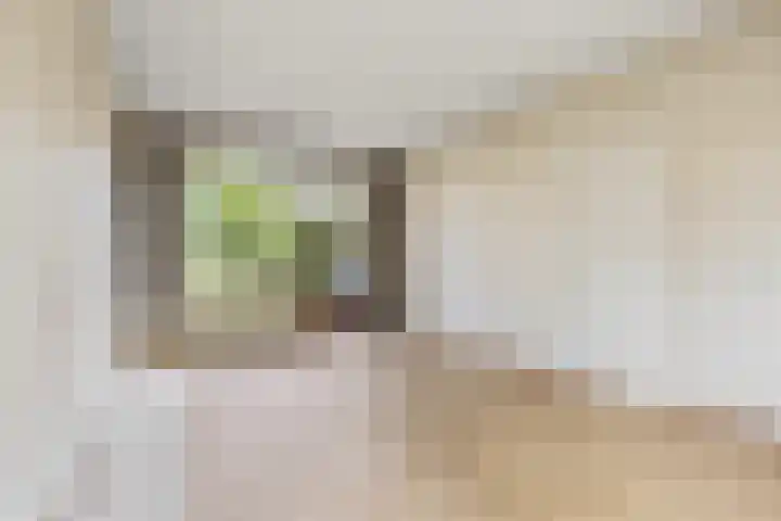 Planetenstraat 14 Nijmegen thumbnail 4