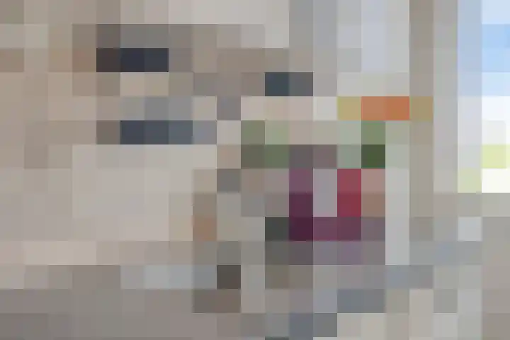 Planetenstraat 15 Nijmegen thumbnail 10