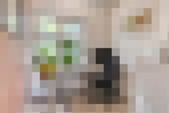 Planetenstraat 15 Nijmegen thumbnail 19
