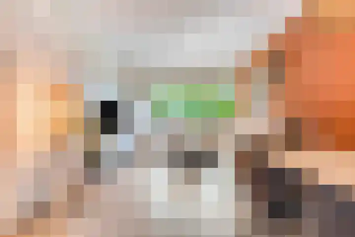 Planetenstraat 15 Nijmegen thumbnail 4
