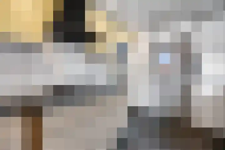 Planetenstraat 2 Nijmegen thumbnail 13
