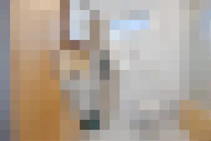 Planetenstraat 2 Nijmegen thumbnail 25