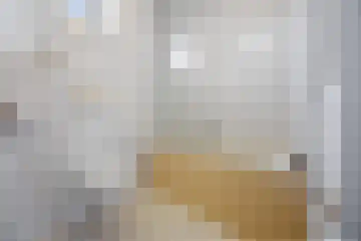 Planetenstraat 2 Nijmegen thumbnail 26