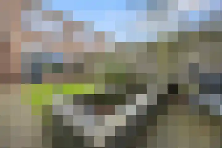 Planetenstraat 2 Nijmegen thumbnail 30