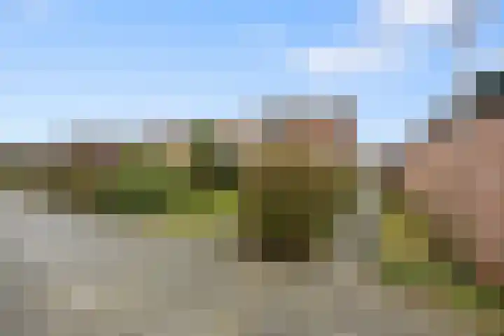 Planetenstraat 2 Nijmegen thumbnail 36
