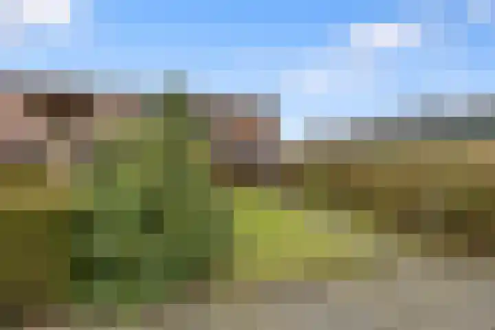 Planetenstraat 2 Nijmegen thumbnail 37