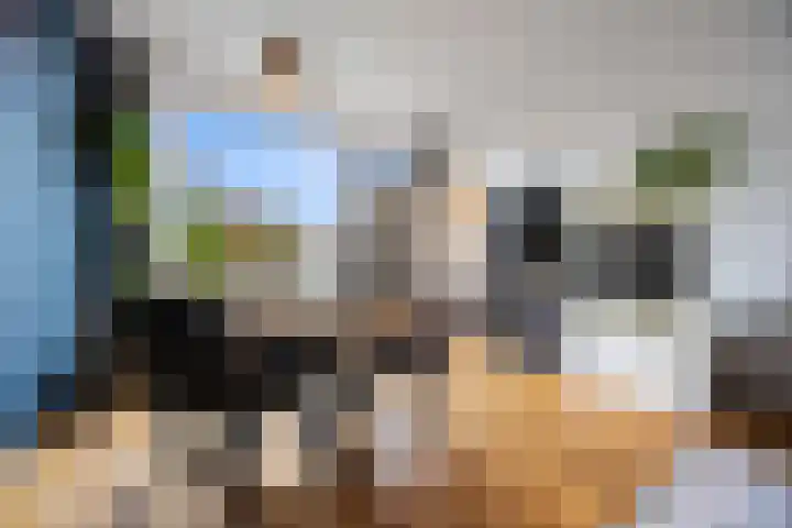 Planetenstraat 2 Nijmegen thumbnail 9