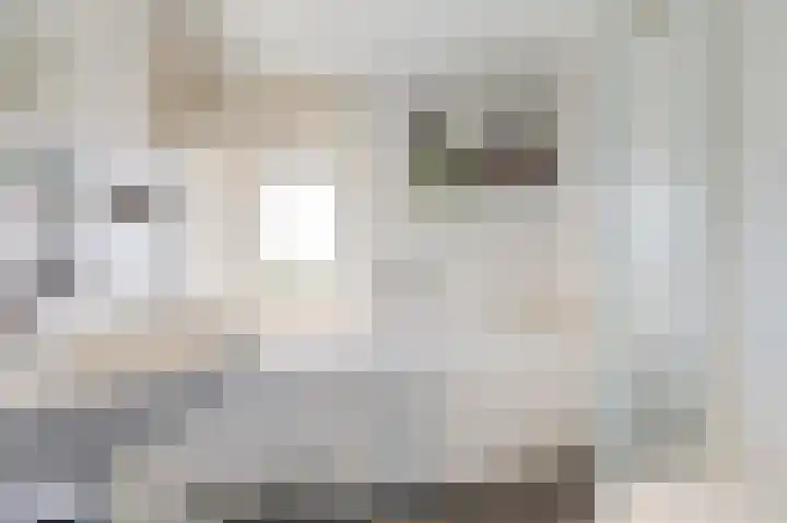 Planetenstraat 30 Lichtenvoorde thumbnail 35