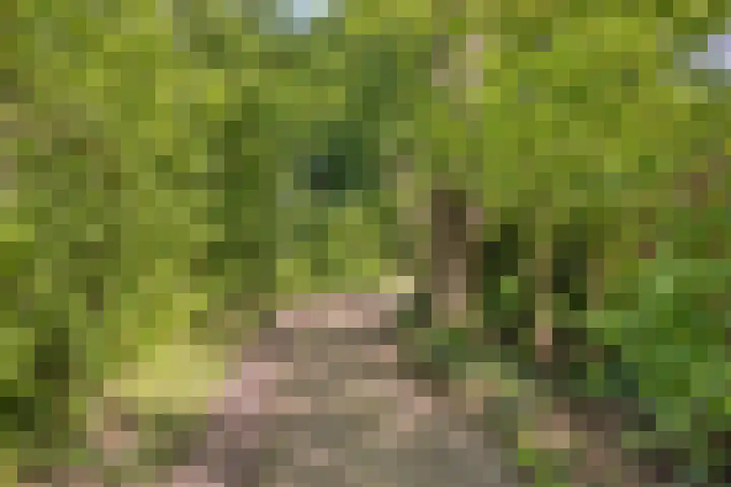 Planetenstraat 39 Lichtenvoorde thumbnail 30