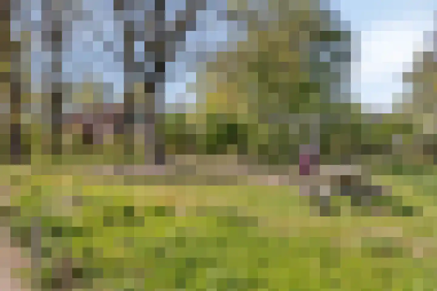 Planetenstraat 39 Lichtenvoorde thumbnail 31