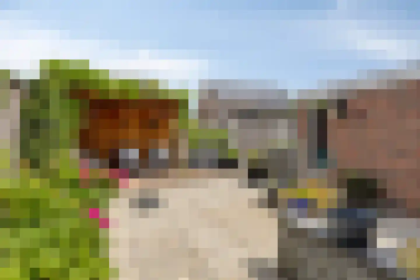Planetenstraat 42 Lichtenvoorde thumbnail 45