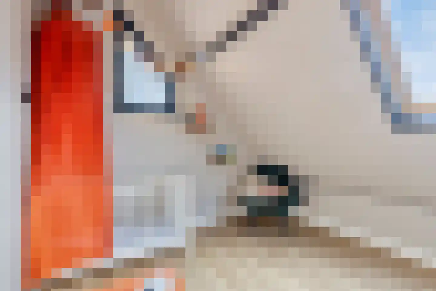 Planetenstraat 43 Lichtenvoorde thumbnail 37