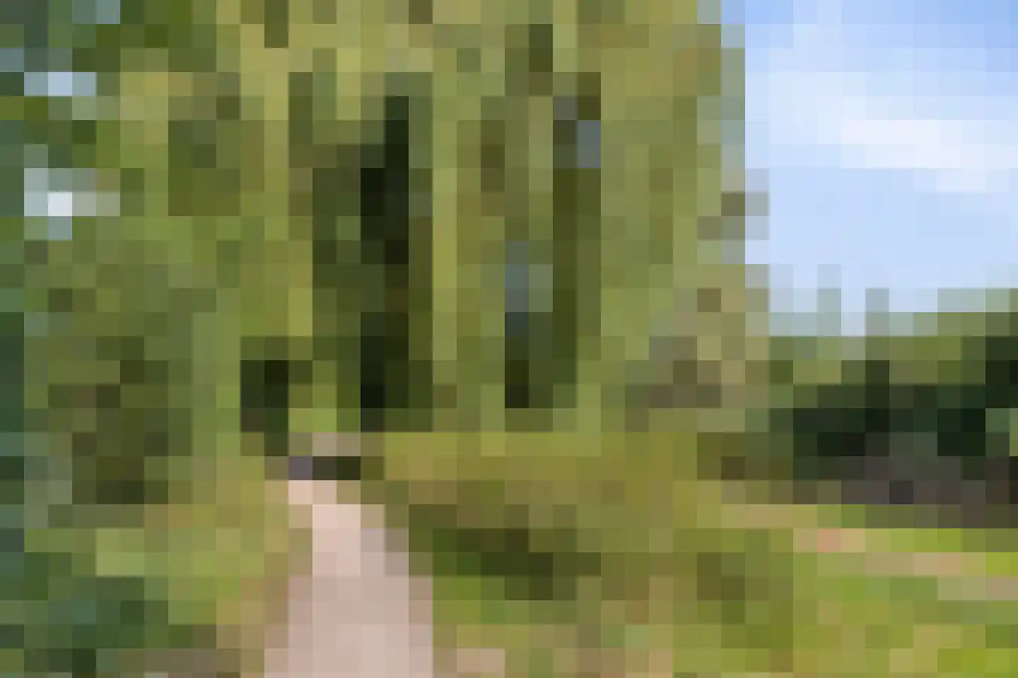 Planetenstraat 43 Lichtenvoorde thumbnail 47