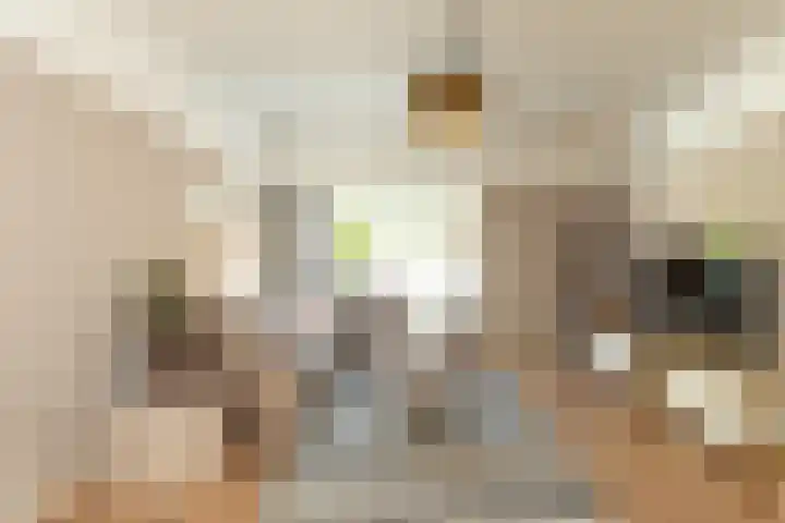 Planetenstraat 46 Hilversum thumbnail 5