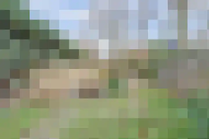 Planetenstraat 5 Venlo thumbnail 17