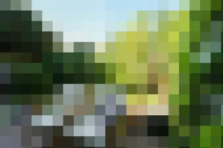 Planetenstraat 51 Nijmegen thumbnail 34