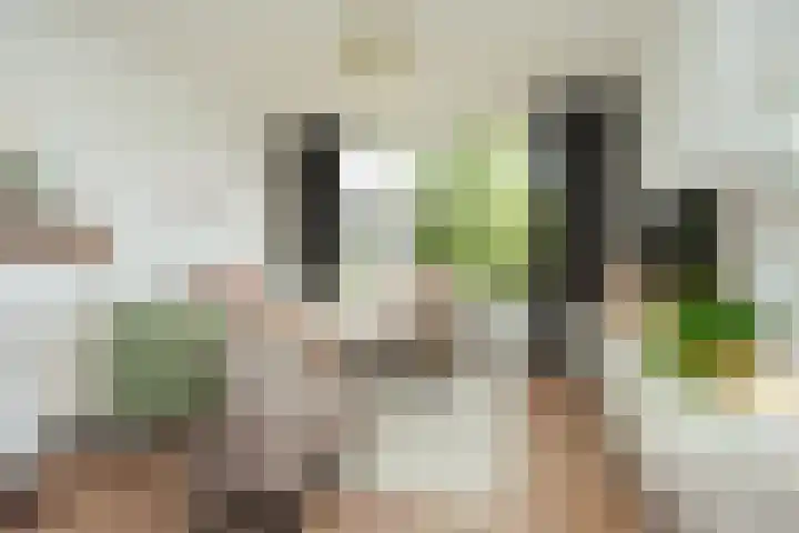 Planetenstraat 51 Nijmegen thumbnail 5
