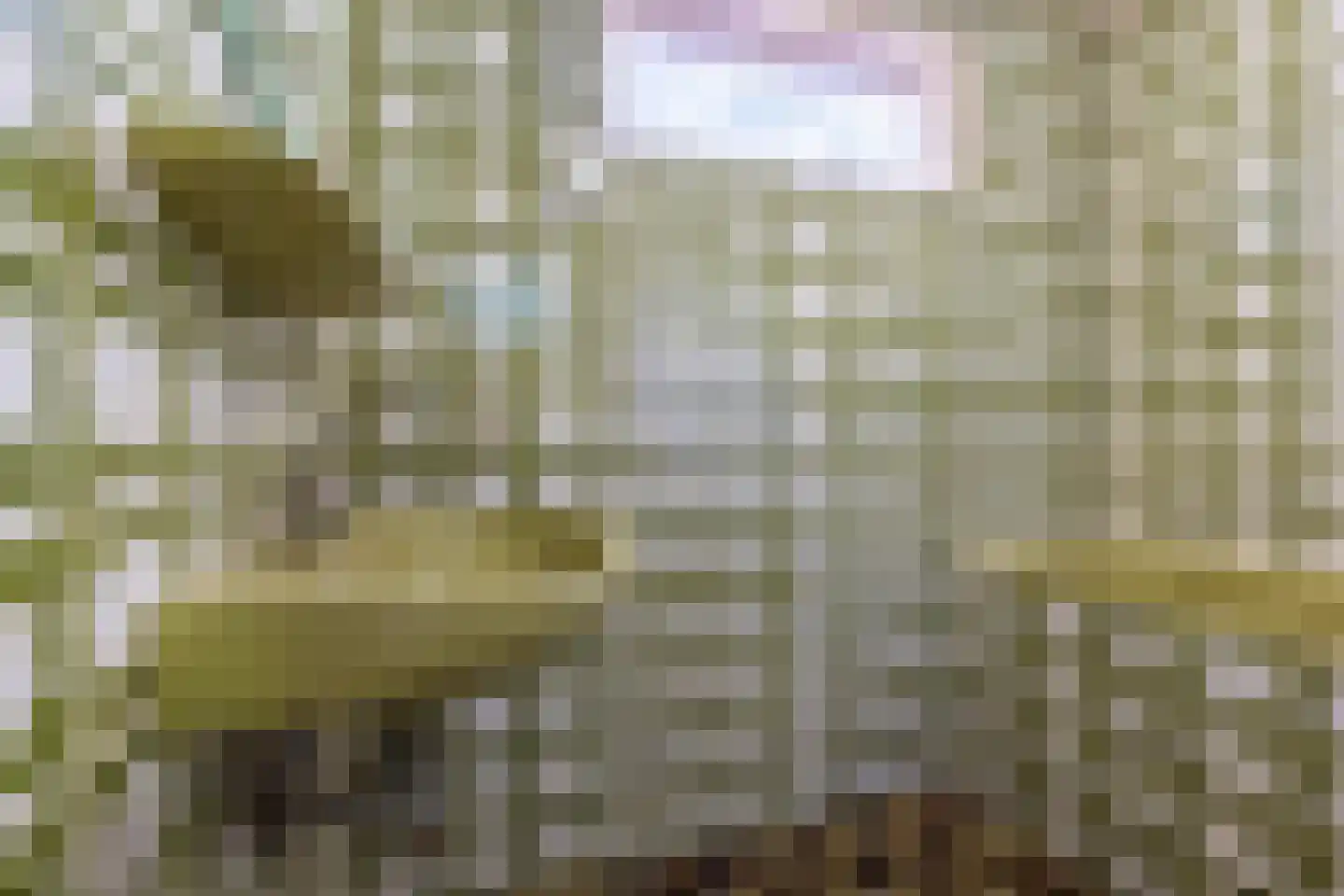 Planetenstraat 8 Dongen thumbnail 30