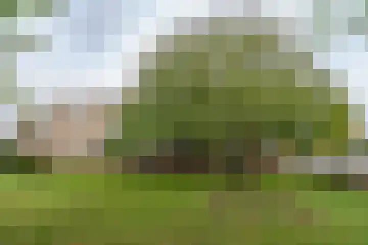 Planetenstraat 9 Nijmegen thumbnail 26