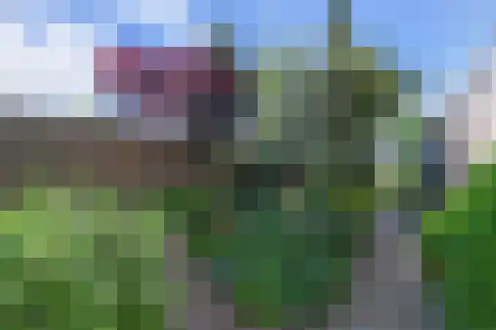 Planetenweg 11 Berkel en Rodenrijs thumbnail 110
