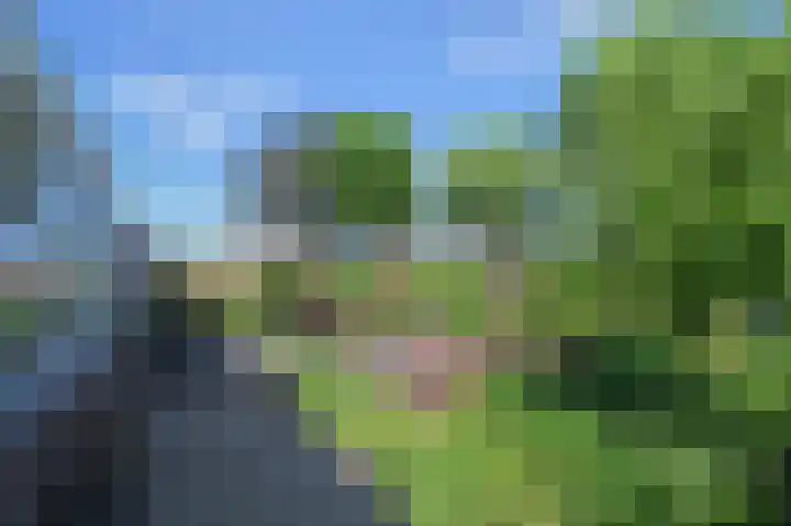 Planetenweg 11 Berkel en Rodenrijs thumbnail 118