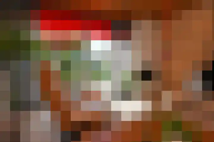 Planetenweg 11 Berkel en Rodenrijs thumbnail 14