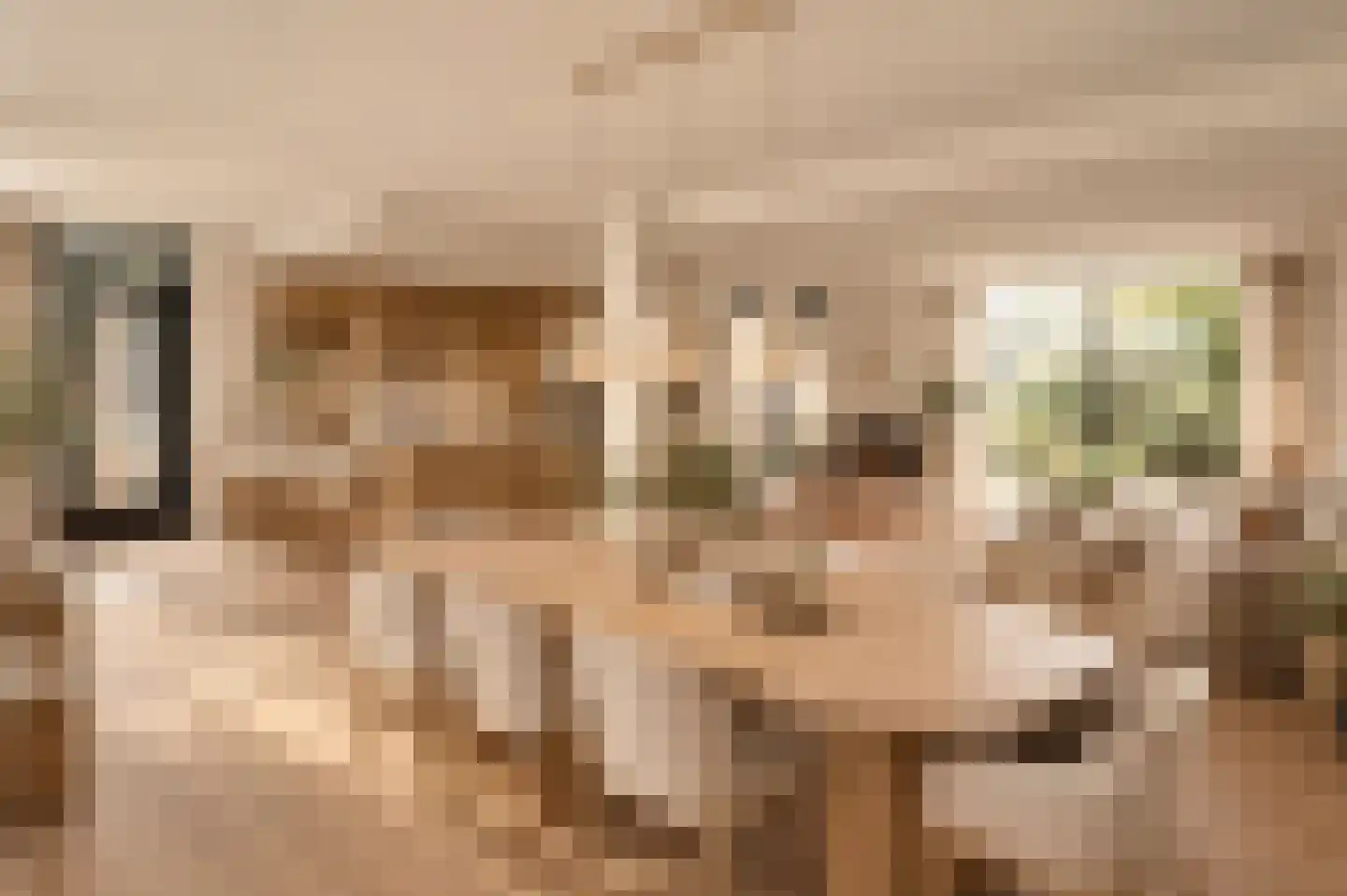 Planetenweg 25 Berkel en Rodenrijs thumbnail 16