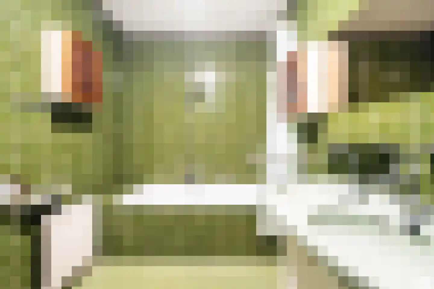 Planetenweg 25 Berkel en Rodenrijs thumbnail 32