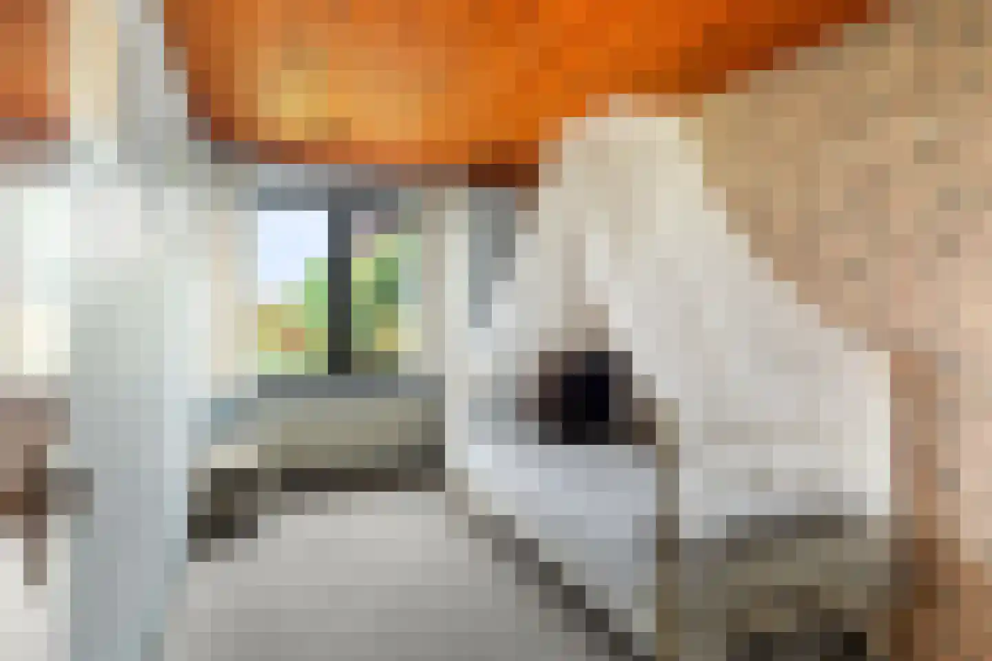 Planetenweg 25 Berkel en Rodenrijs thumbnail 35